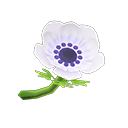 In-game image of White Windflowers