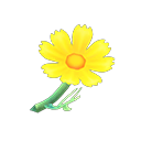 In-game image of Yellow Cosmos