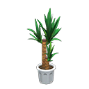 In-game image of Yucca