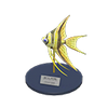 Picture of Angelfish Model