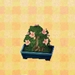 Picture of Azalea Bonsai