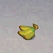 Picture of Banana