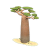 Picture of Baobab