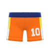 Picture of Basketball Shorts
