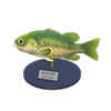 Picture of Black Bass Model