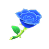 Picture of Blue Roses