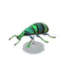 Picture of Blue Weevil Beetle Model