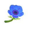 Picture of Blue Windflowers