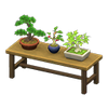 Picture of Bonsai Shelf Picture of Bonsai Shelf