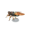 Picture of Brown Cicada Model