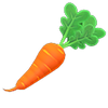 Picture of Carrot