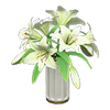 Picture of Casablanca Lilies