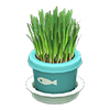 Picture of Cat Grass