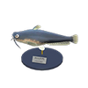 Picture of Catfish Model