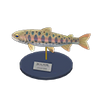 Picture of Cherry Salmon Model