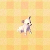 Picture of Chihuahua Ornament