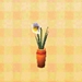Picture of Daffodil