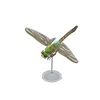 Picture of Darner Dragonfly Model