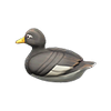 Picture of Decoy Duck