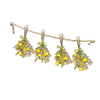 Picture of Dried-flower Garland