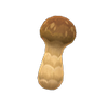 Picture of Elegant Mushroom