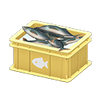 Picture of Fish Container