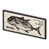 Picture of Fish Print