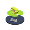 Picture of Frog Model