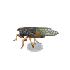 Picture of Giant Cicada Model