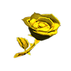 Picture of Gold Rose