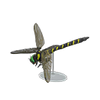 Picture of Grand B. Dragonfly Model