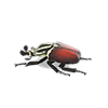 Picture of Grand Goliath Beetle Model