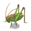 Picture of Grasshopper Model