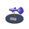 Picture of Guppy Model
