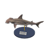 Picture of Hammerhead Shark Model