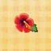 Picture of Hibiscus Clock