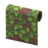 Picture of Ivy Wall