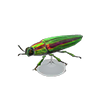 Picture of Jewel Beetle Model