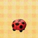 Picture of Ladybug Chair