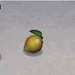Picture of Lemon