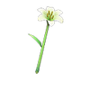 Picture of Lily Wand
