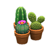 Picture of Mini-cactus Set