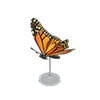 Picture of Monarch Butterfly Model