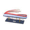 Picture of Oarfish Model