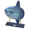 Picture of Ocean Sunfish Model