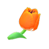 Picture of Orange Tulips