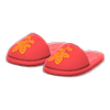 Picture of Paradise Planning Slippers