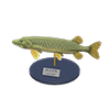 Picture of Pike Model