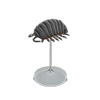 Picture of Pill Bug Model