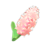 Picture of Pink Hyacinths